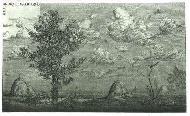 Konstantin Kalinovich, Ukraina