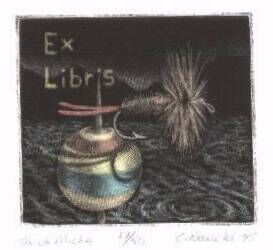 Christopher Nowicki, Polska