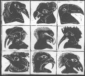 ''Sklepy cynamonowe'' Bruno Schulza